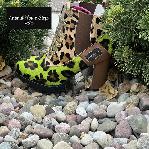 ANIMAL HOUSE STEPS by Diana Joe