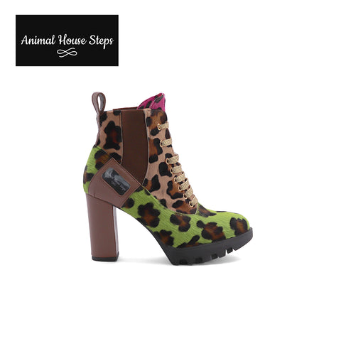 ANIMAL HOUSE STEPS by Diana Joe